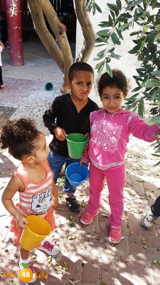 alkeram zatoon3 (8).jpg